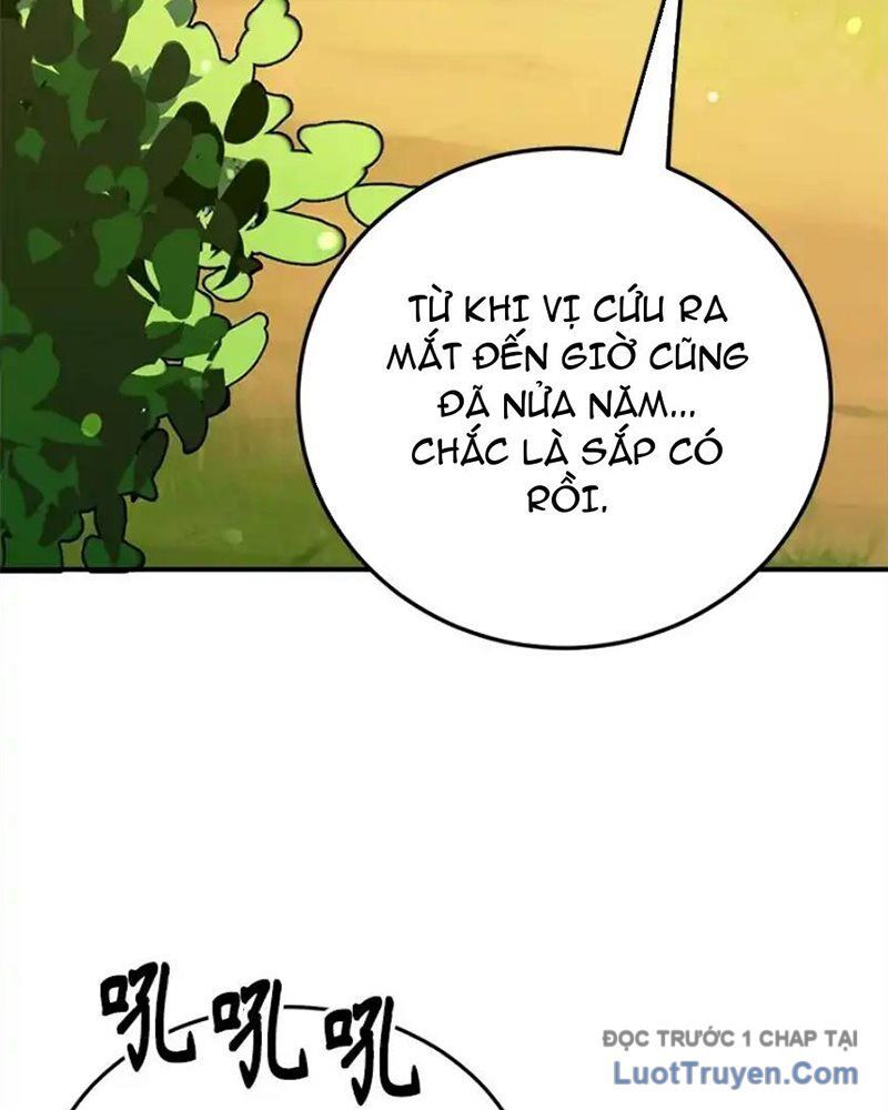 Tôi May Mắn Triệu Hồi Được Tinh Linh Hộ Vệ Hạng 10 Chapter 29 - Trang 2