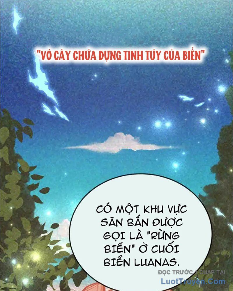 Tôi May Mắn Triệu Hồi Được Tinh Linh Hộ Vệ Hạng 10 Chapter 29 - Trang 2