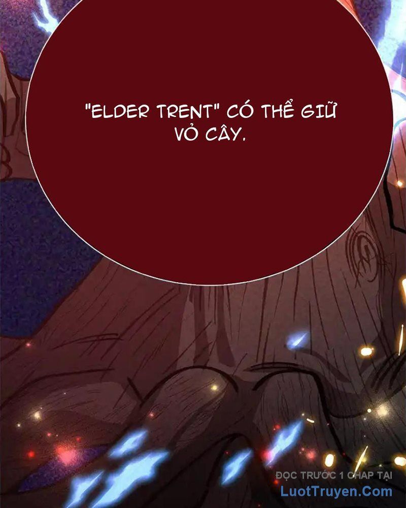 Tôi May Mắn Triệu Hồi Được Tinh Linh Hộ Vệ Hạng 10 Chapter 29 - Trang 2