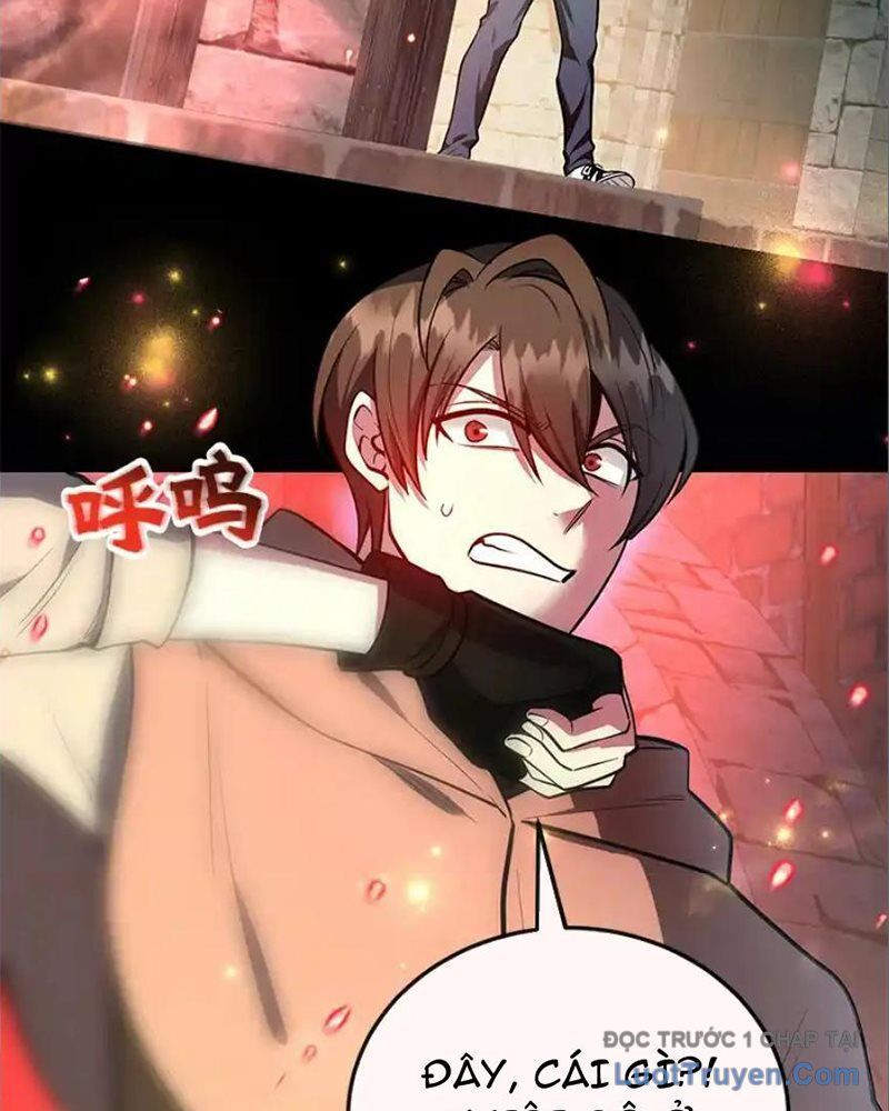 Tôi May Mắn Triệu Hồi Được Tinh Linh Hộ Vệ Hạng 10 Chapter 30 - Trang 2