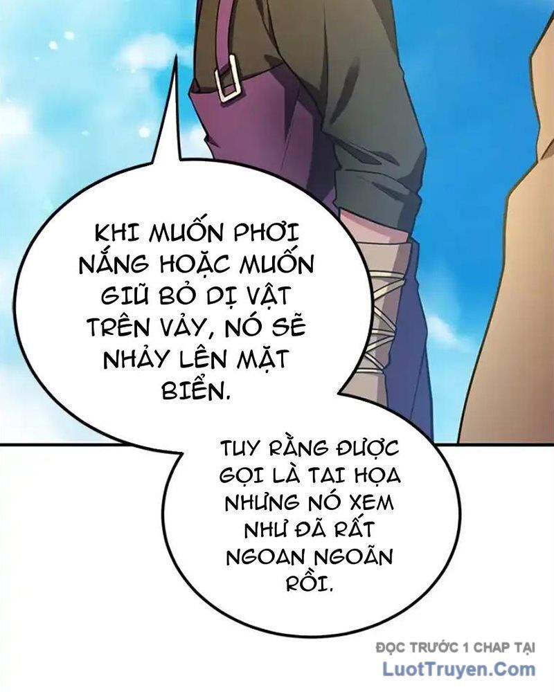 Tôi May Mắn Triệu Hồi Được Tinh Linh Hộ Vệ Hạng 10 Chapter 31 - Trang 2