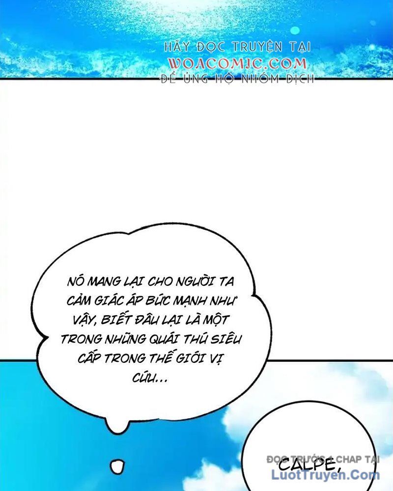 Tôi May Mắn Triệu Hồi Được Tinh Linh Hộ Vệ Hạng 10 Chapter 31 - Trang 2