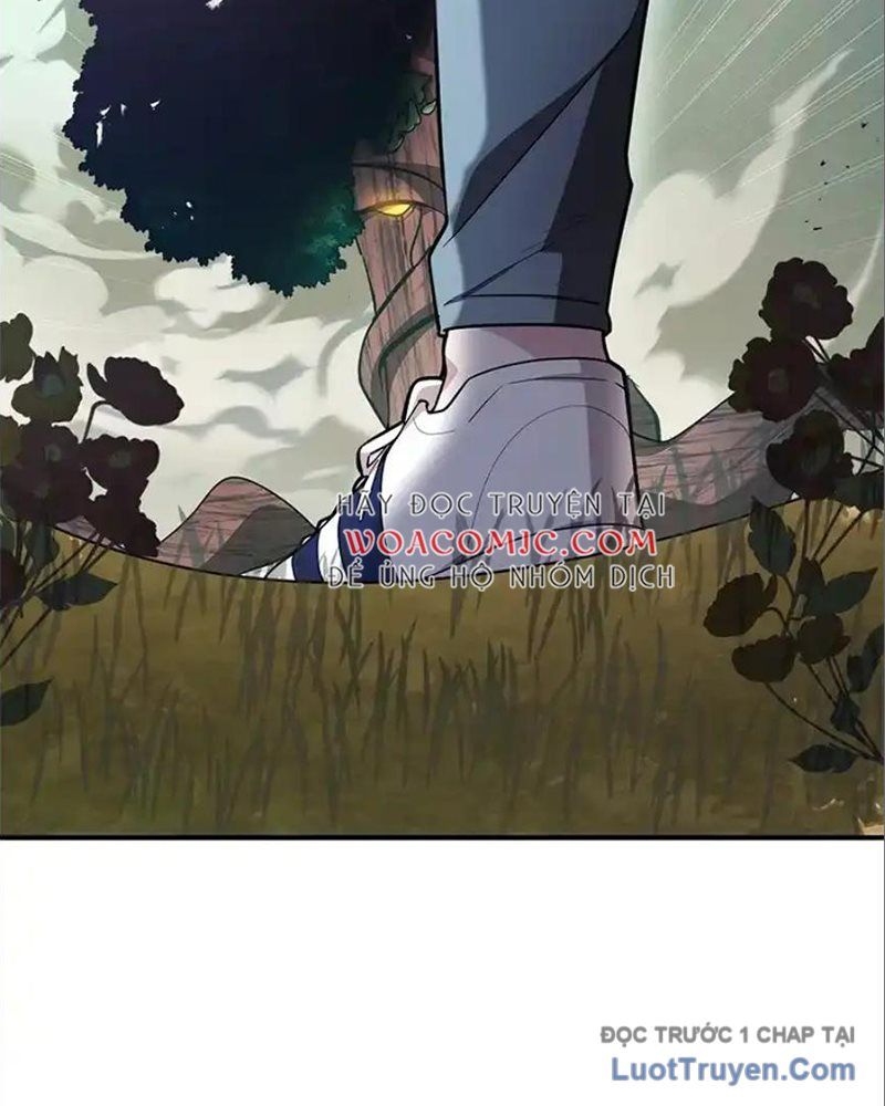 Tôi May Mắn Triệu Hồi Được Tinh Linh Hộ Vệ Hạng 10 Chapter 33 - Trang 2