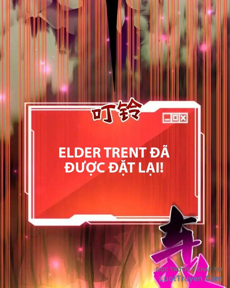 Tôi May Mắn Triệu Hồi Được Tinh Linh Hộ Vệ Hạng 10 Chapter 33 - Trang 2
