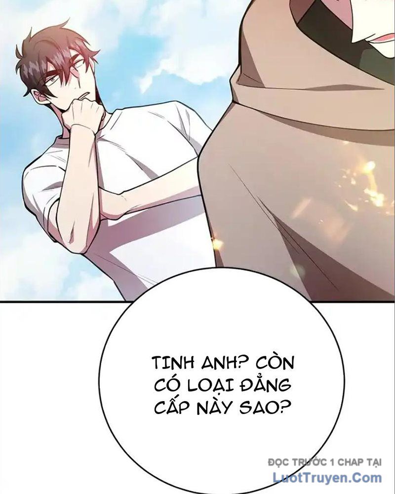 Tôi May Mắn Triệu Hồi Được Tinh Linh Hộ Vệ Hạng 10 Chapter 33 - Trang 2