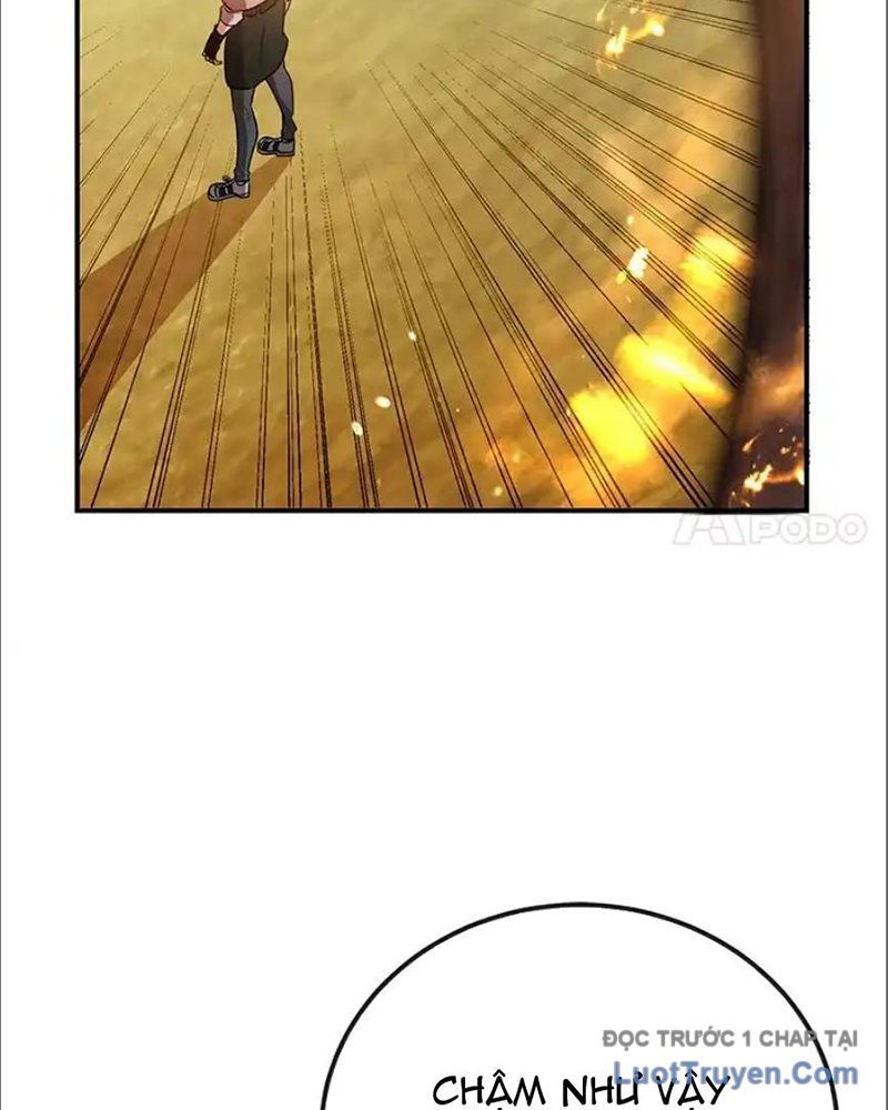 Tôi May Mắn Triệu Hồi Được Tinh Linh Hộ Vệ Hạng 10 Chapter 33 - Trang 2