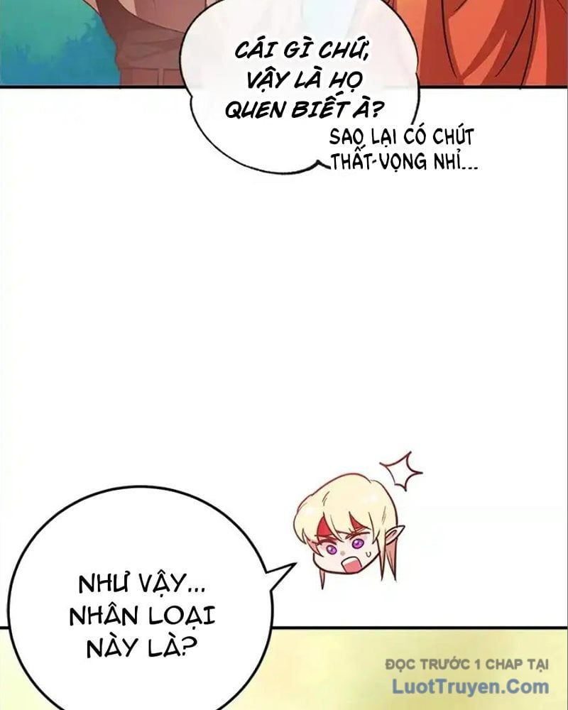 Tôi May Mắn Triệu Hồi Được Tinh Linh Hộ Vệ Hạng 10 Chapter 35 - Trang 2