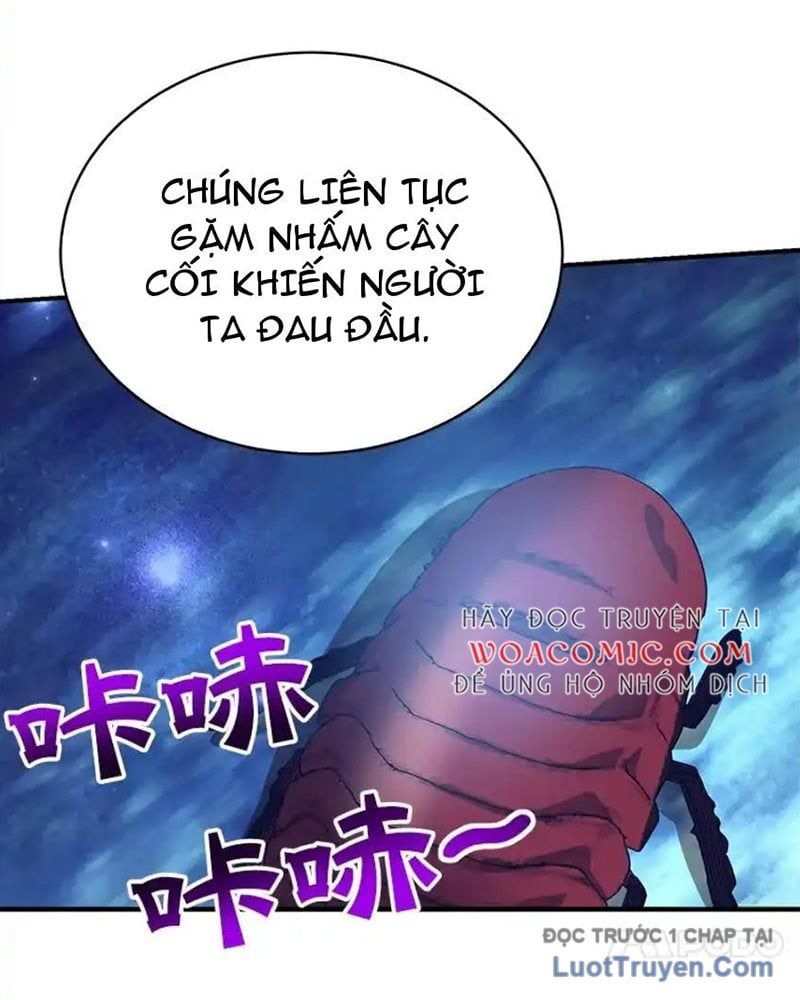 Tôi May Mắn Triệu Hồi Được Tinh Linh Hộ Vệ Hạng 10 Chapter 36 - Trang 2