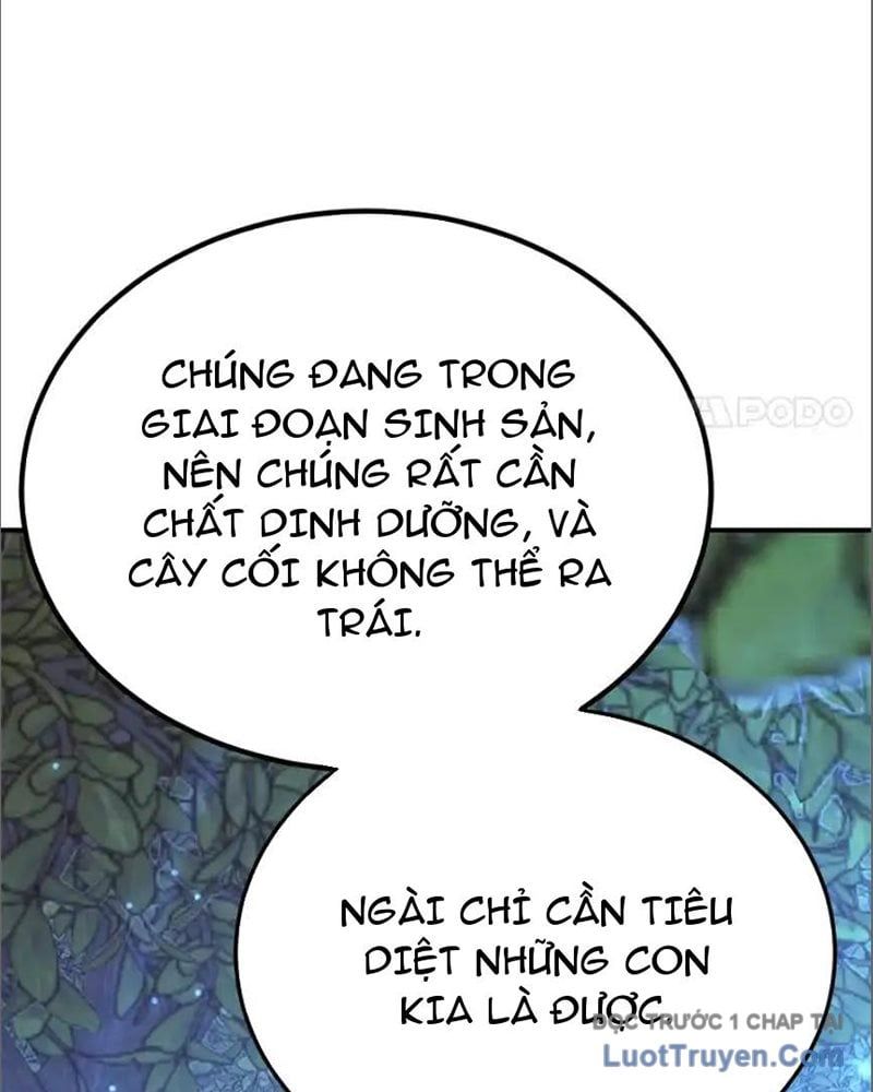 Tôi May Mắn Triệu Hồi Được Tinh Linh Hộ Vệ Hạng 10 Chapter 36 - Trang 2