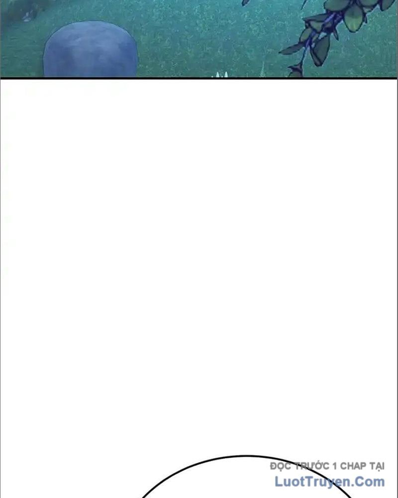 Tôi May Mắn Triệu Hồi Được Tinh Linh Hộ Vệ Hạng 10 Chapter 36 - Trang 2