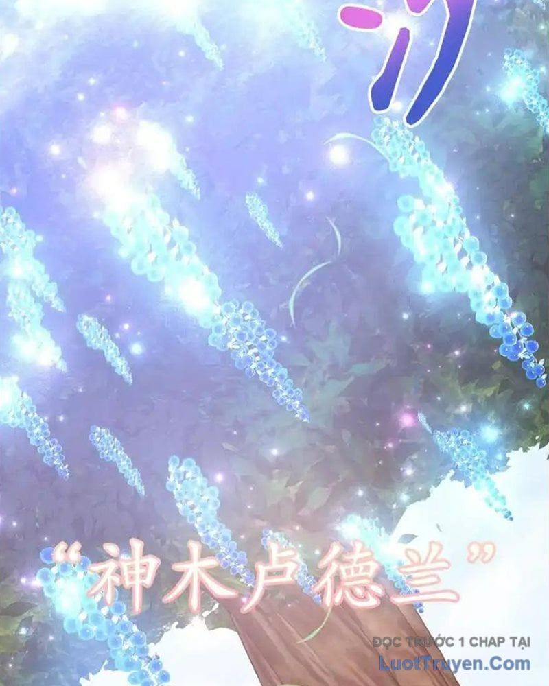 Tôi May Mắn Triệu Hồi Được Tinh Linh Hộ Vệ Hạng 10 Chapter 37 - Trang 2