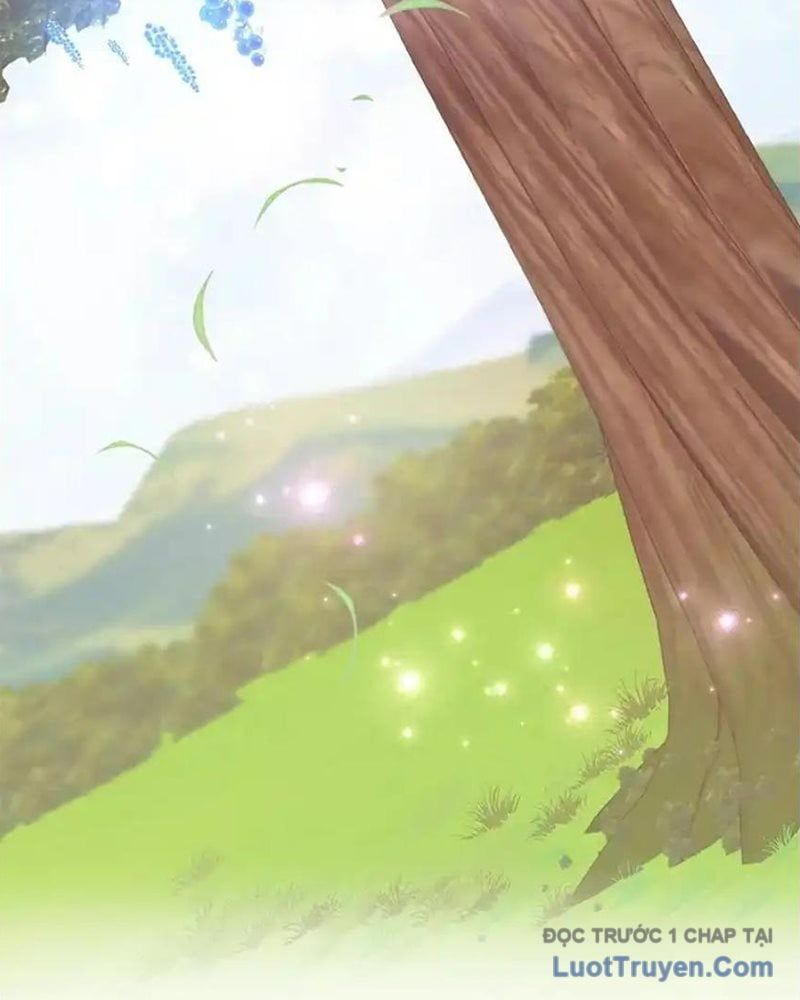 Tôi May Mắn Triệu Hồi Được Tinh Linh Hộ Vệ Hạng 10 Chapter 37 - Trang 2