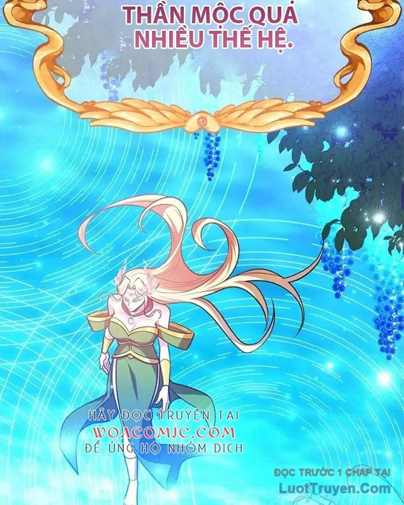 Tôi May Mắn Triệu Hồi Được Tinh Linh Hộ Vệ Hạng 10 Chapter 37 - Trang 2