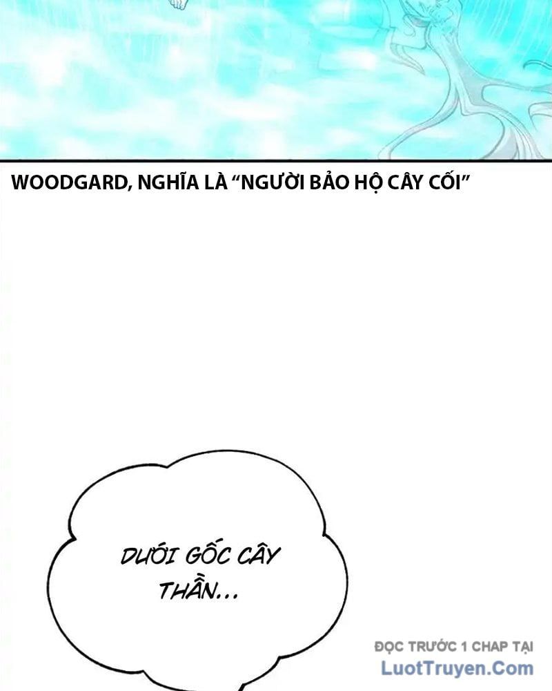 Tôi May Mắn Triệu Hồi Được Tinh Linh Hộ Vệ Hạng 10 Chapter 37 - Trang 2