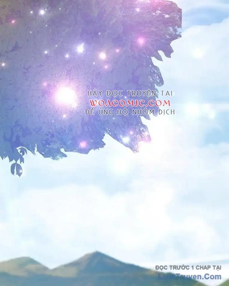 Tôi May Mắn Triệu Hồi Được Tinh Linh Hộ Vệ Hạng 10 Chapter 37 - Trang 2