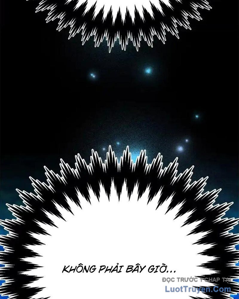 Tôi May Mắn Triệu Hồi Được Tinh Linh Hộ Vệ Hạng 10 Chapter 37 - Trang 2