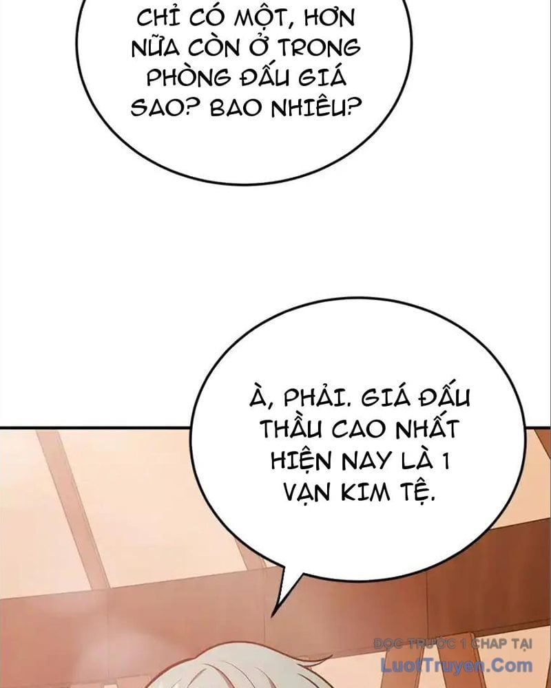 Tôi May Mắn Triệu Hồi Được Tinh Linh Hộ Vệ Hạng 10 Chapter 37 - Trang 2