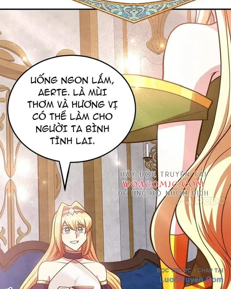 Tôi May Mắn Triệu Hồi Được Tinh Linh Hộ Vệ Hạng 10 Chapter 37 - Trang 2