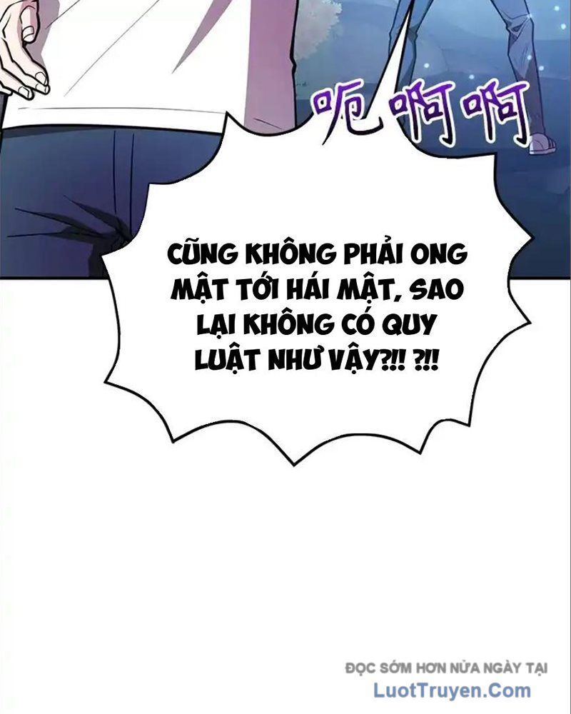 Tôi May Mắn Triệu Hồi Được Tinh Linh Hộ Vệ Hạng 10 Chapter 38 - Trang 2
