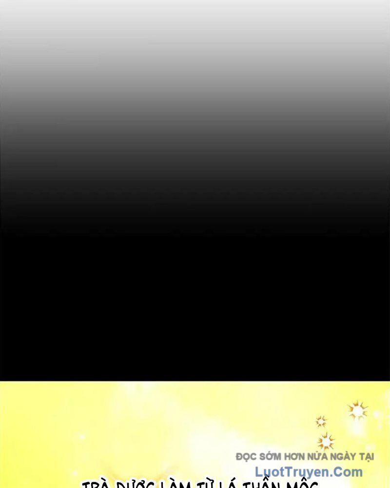 Tôi May Mắn Triệu Hồi Được Tinh Linh Hộ Vệ Hạng 10 Chapter 38 - Trang 2