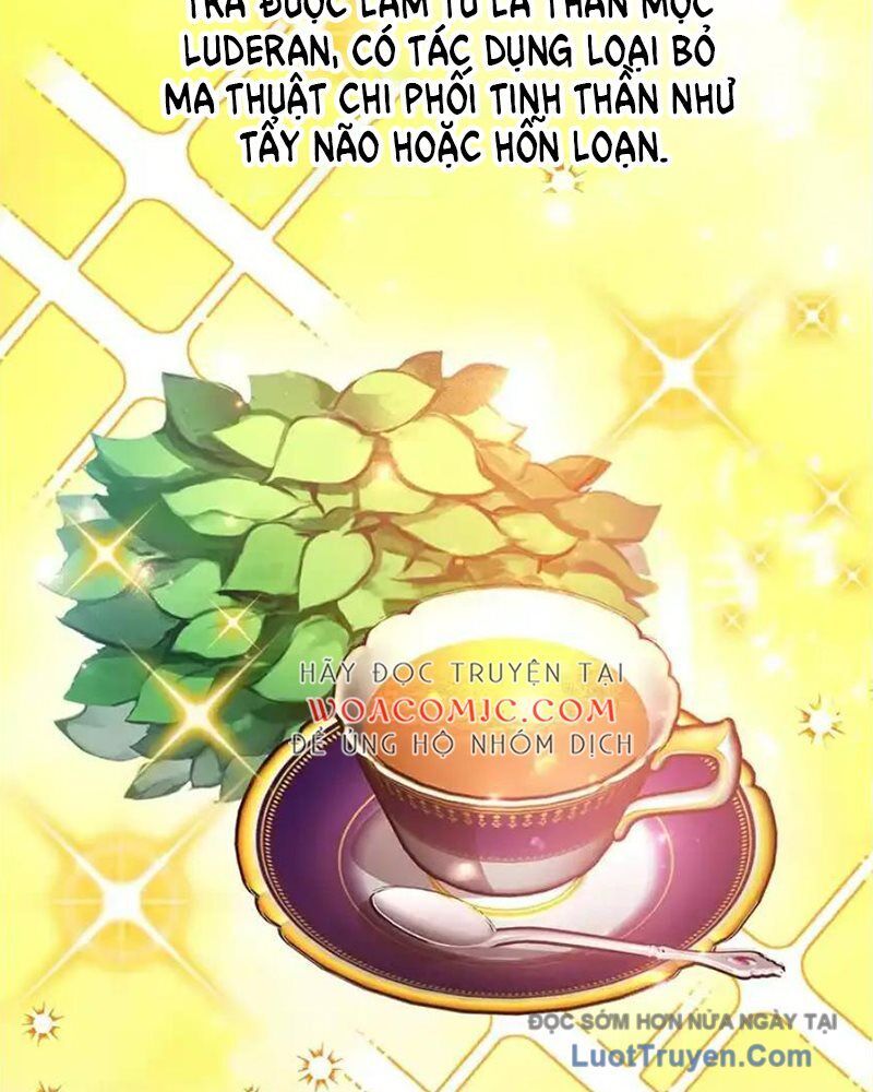Tôi May Mắn Triệu Hồi Được Tinh Linh Hộ Vệ Hạng 10 Chapter 38 - Trang 2