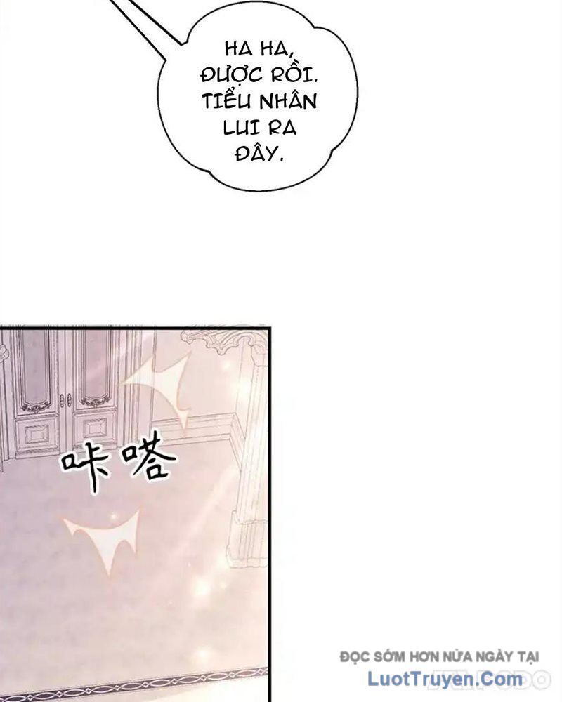 Tôi May Mắn Triệu Hồi Được Tinh Linh Hộ Vệ Hạng 10 Chapter 38 - Trang 2