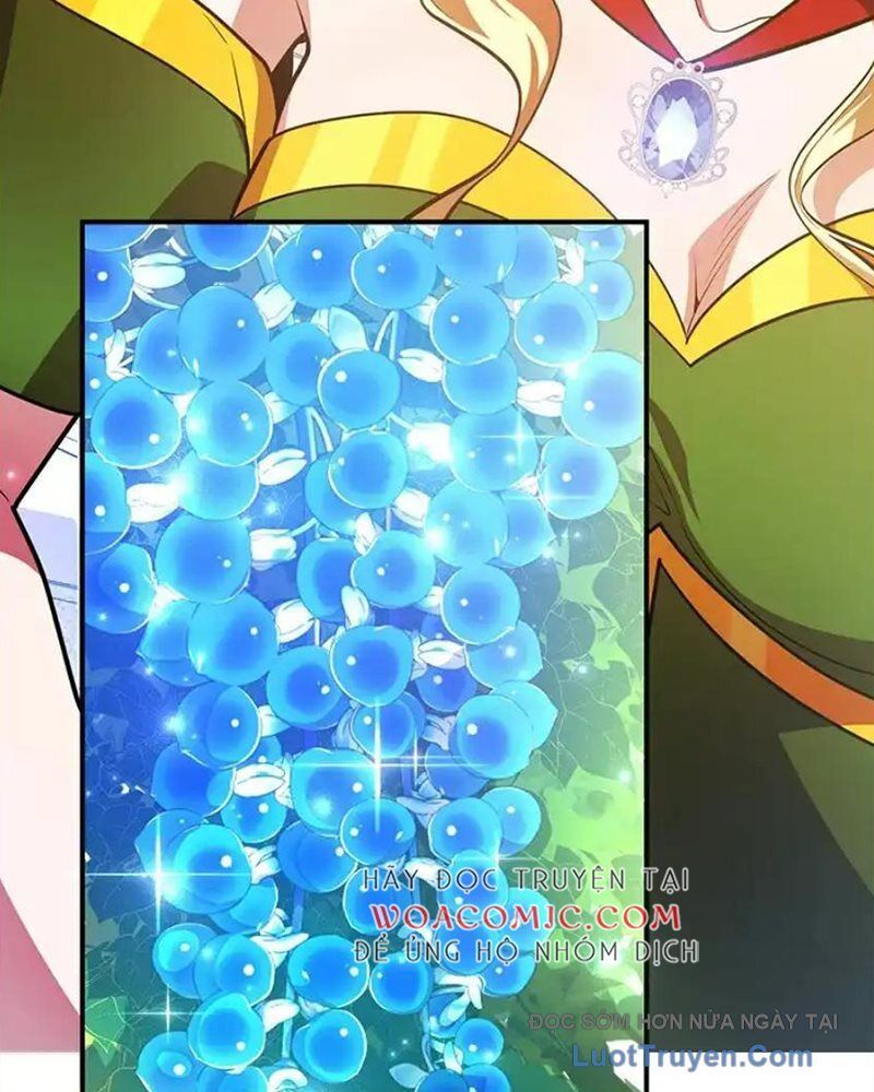 Tôi May Mắn Triệu Hồi Được Tinh Linh Hộ Vệ Hạng 10 Chapter 38 - Trang 2