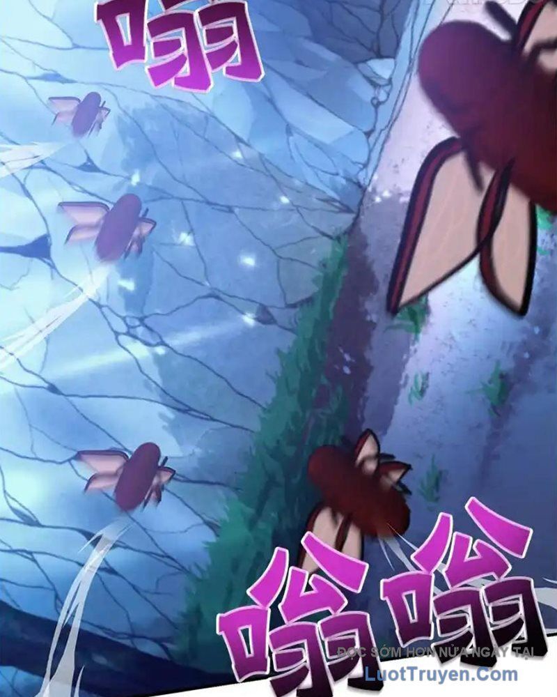 Tôi May Mắn Triệu Hồi Được Tinh Linh Hộ Vệ Hạng 10 Chapter 39 - Trang 2