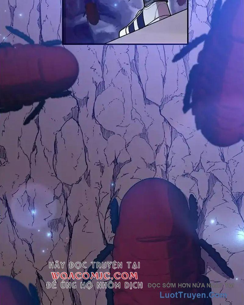 Tôi May Mắn Triệu Hồi Được Tinh Linh Hộ Vệ Hạng 10 Chapter 39 - Trang 2