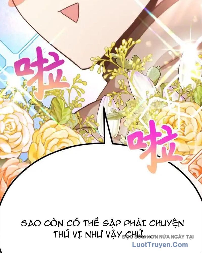 Tôi May Mắn Triệu Hồi Được Tinh Linh Hộ Vệ Hạng 10 Chapter 40 - Trang 2