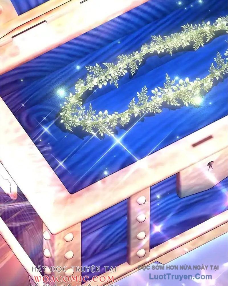 Tôi May Mắn Triệu Hồi Được Tinh Linh Hộ Vệ Hạng 10 Chapter 40 - Trang 2