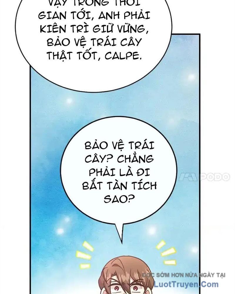 Tôi May Mắn Triệu Hồi Được Tinh Linh Hộ Vệ Hạng 10 Chapter 41 - Trang 2