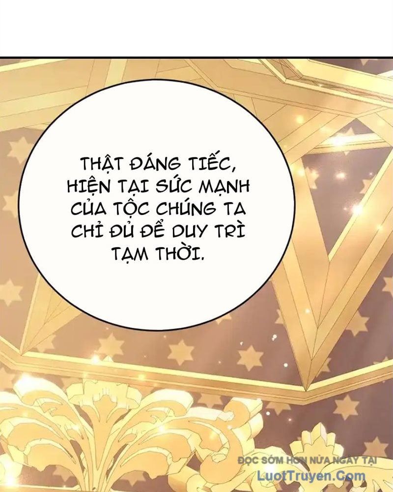 Tôi May Mắn Triệu Hồi Được Tinh Linh Hộ Vệ Hạng 10 Chapter 41 - Trang 2