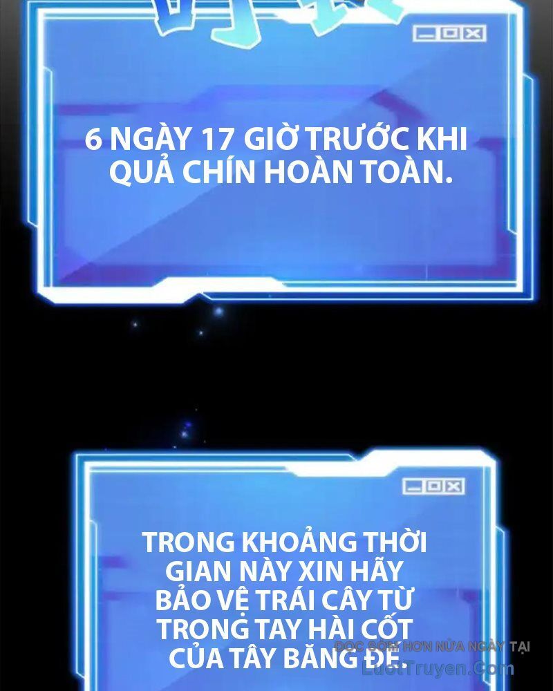 Tôi May Mắn Triệu Hồi Được Tinh Linh Hộ Vệ Hạng 10 Chapter 41 - Trang 2