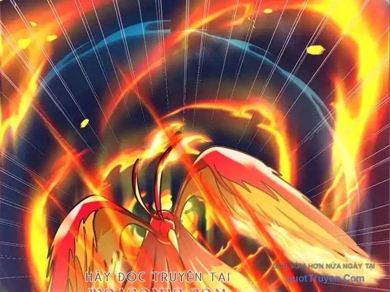 Tôi May Mắn Triệu Hồi Được Tinh Linh Hộ Vệ Hạng 10 Chapter 41 - Trang 2