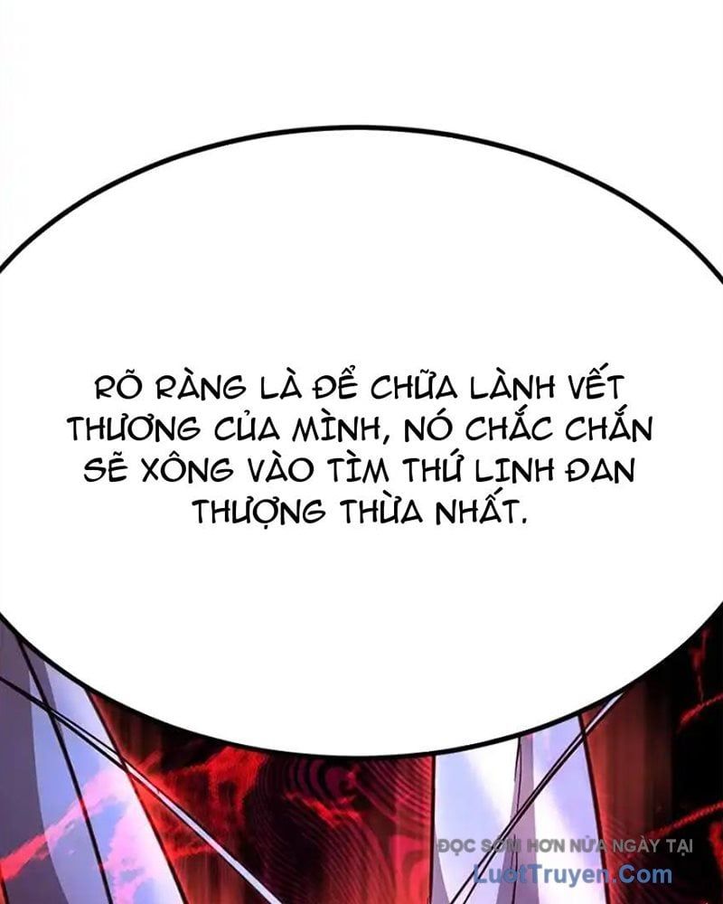 Tôi May Mắn Triệu Hồi Được Tinh Linh Hộ Vệ Hạng 10 Chapter 41 - Trang 2