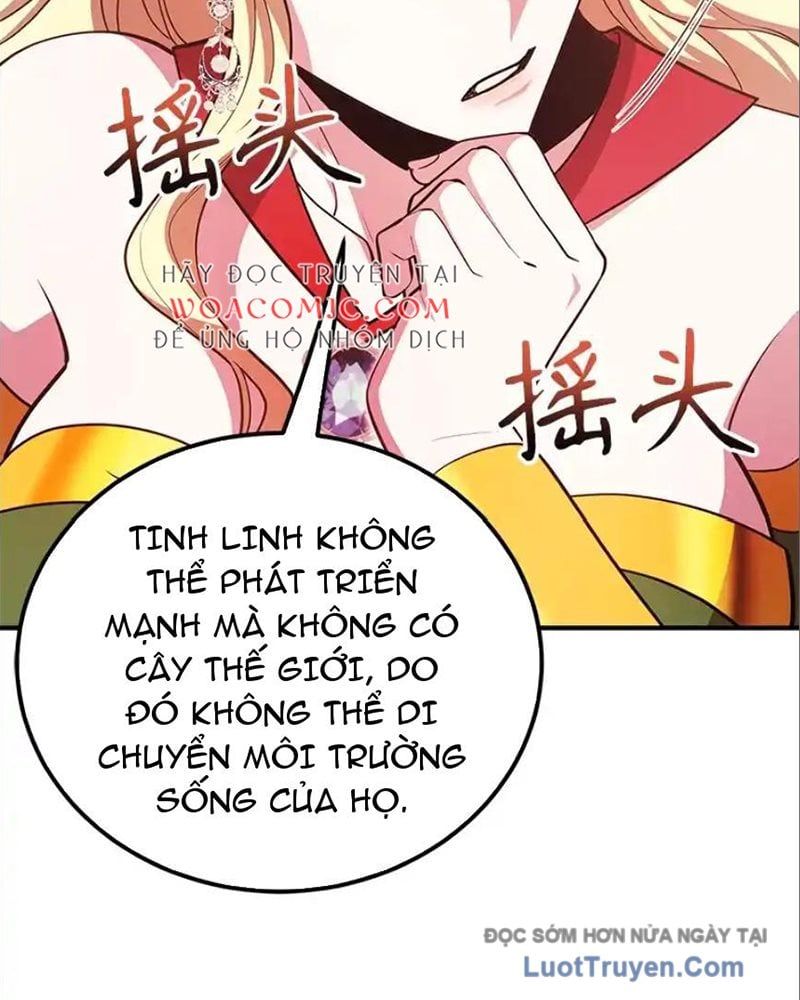 Tôi May Mắn Triệu Hồi Được Tinh Linh Hộ Vệ Hạng 10 Chapter 41 - Trang 2