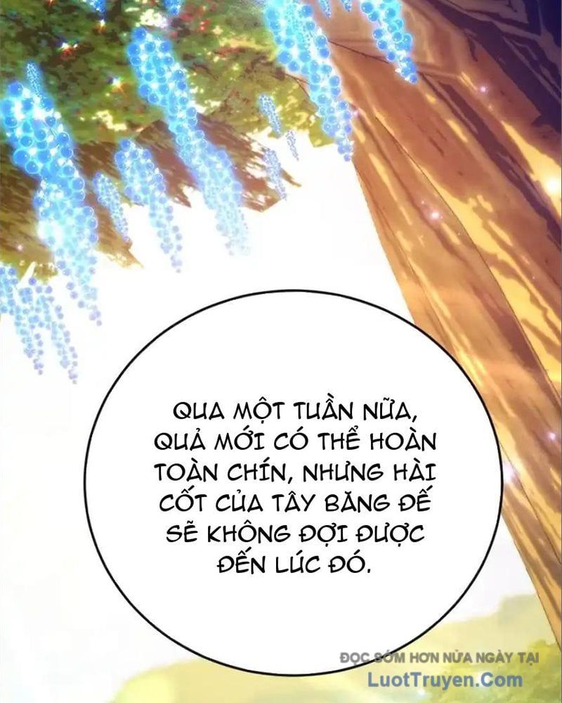 Tôi May Mắn Triệu Hồi Được Tinh Linh Hộ Vệ Hạng 10 Chapter 41 - Trang 2