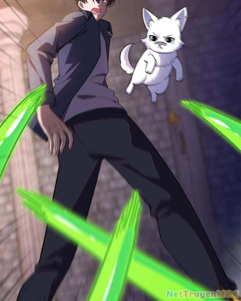 Huyễn Thú Của Ta Có Thể Tiến Hóa Vô Hạn Chapter 7 - Trang 2