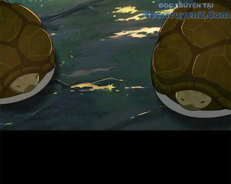 Huyễn Thú Của Ta Có Thể Tiến Hóa Vô Hạn Chapter 27 - Trang 2