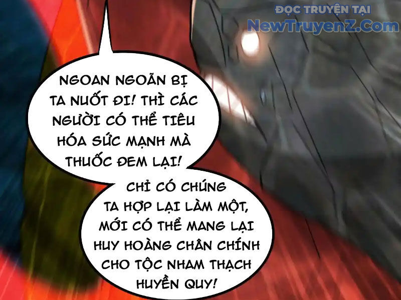 Huyễn Thú Của Ta Có Thể Tiến Hóa Vô Hạn Chapter 31 - Trang 2
