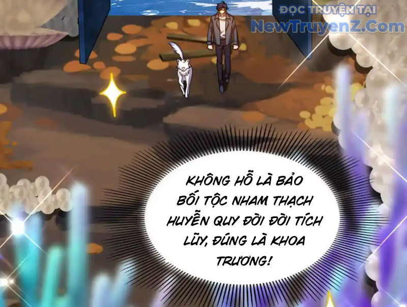 Huyễn Thú Của Ta Có Thể Tiến Hóa Vô Hạn Chapter 31 - Trang 2