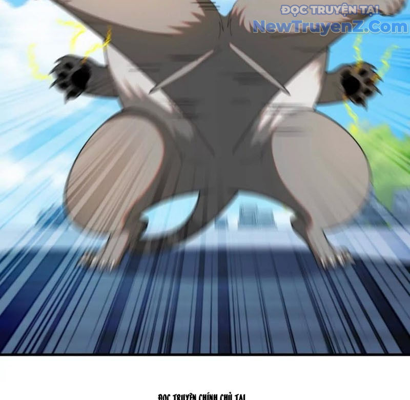 Huyễn Thú Của Ta Có Thể Tiến Hóa Vô Hạn Chapter 36 - Trang 2