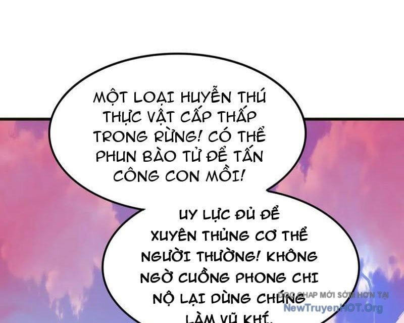 Huyễn Thú Của Ta Có Thể Tiến Hóa Vô Hạn Chapter 44 - Trang 2