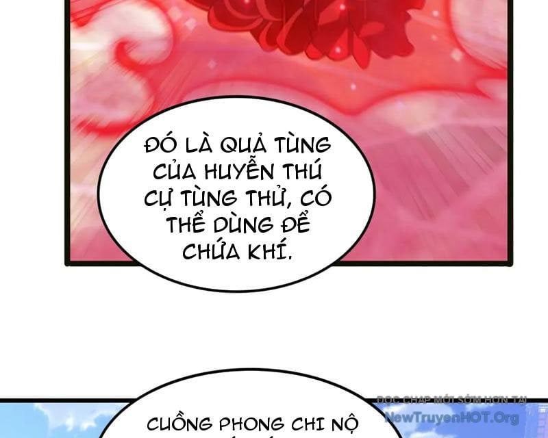 Huyễn Thú Của Ta Có Thể Tiến Hóa Vô Hạn Chapter 44 - Trang 2