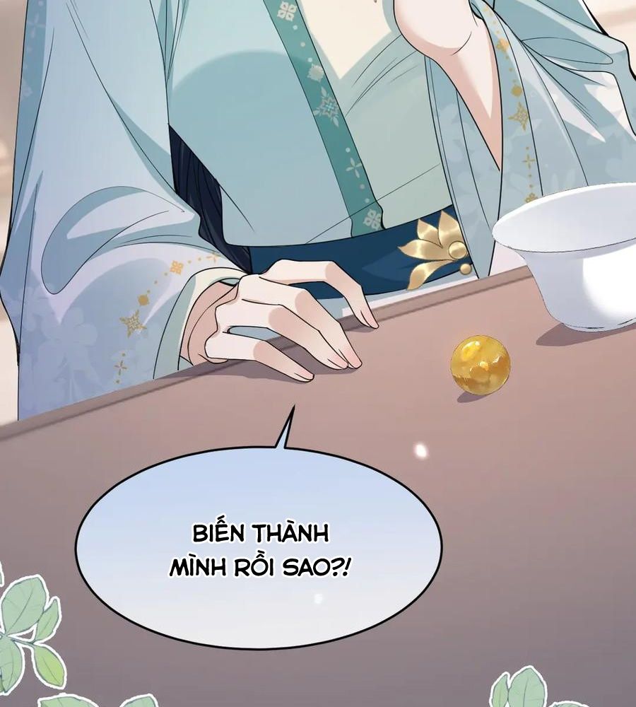 Xuyên Không Rồi, Cần Quái Gì Thể Thống Chapter 16 - Trang 2