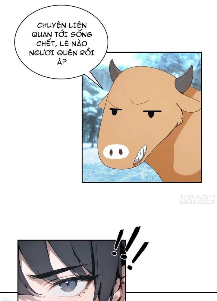 Bách Thê Phổ: Thánh Nữ Đều Gọi Ta Là Phu Quân Chapter 43 - Trang 2