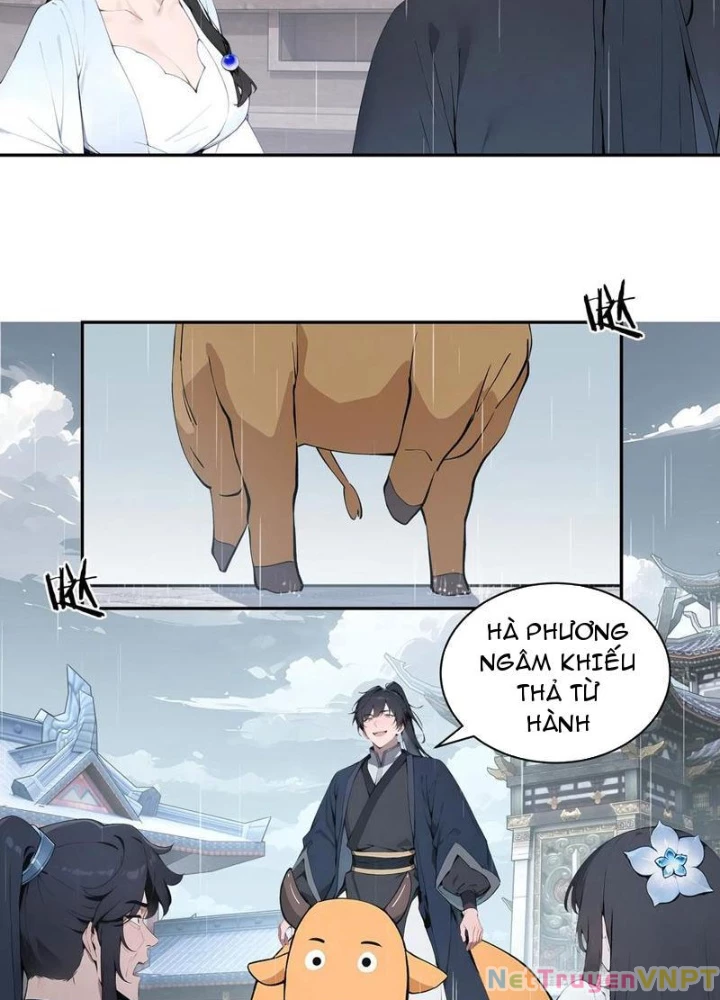 Bách Thê Phổ: Thánh Nữ Đều Gọi Ta Là Phu Quân Chapter 46 - Trang 2