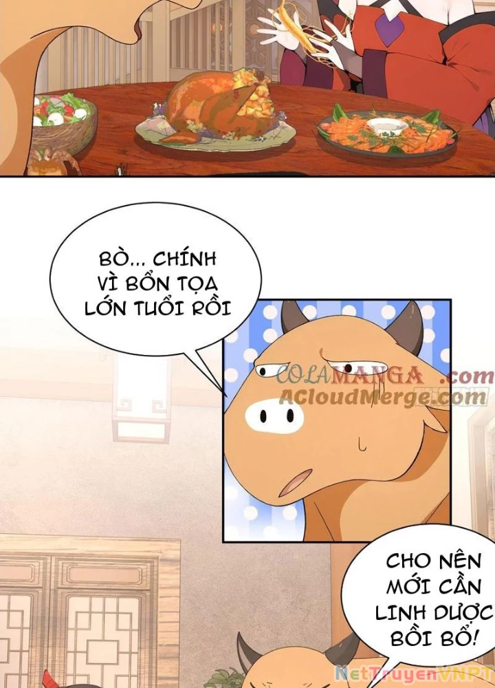 Bách Thê Phổ: Thánh Nữ Đều Gọi Ta Là Phu Quân Chapter 46 - Trang 2