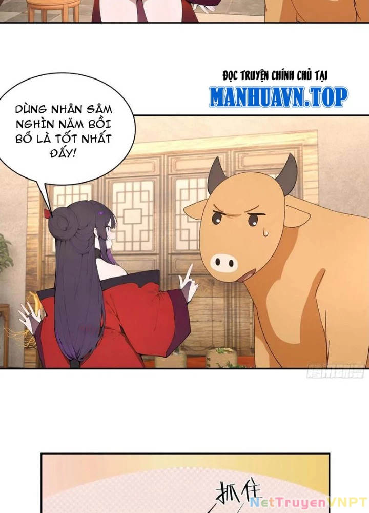 Bách Thê Phổ: Thánh Nữ Đều Gọi Ta Là Phu Quân Chapter 46 - Trang 2